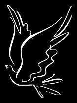 Radio Chakavak - Stockholms b�sta persisk-talande webbradio